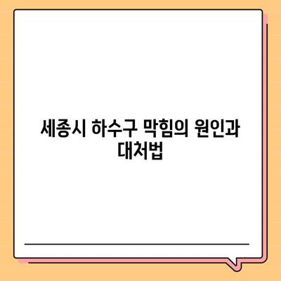 세종시 세종특별자치시 전동면 하수구막힘 | 가격 | 비용 | 기름제거 | 싱크대 | 변기 | 세면대 | 역류 | 냄새차단 | 2024 후기