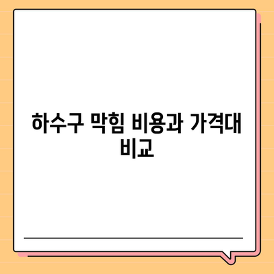 강원도 춘천시 신사우동 하수구막힘 | 가격 | 비용 | 기름제거 | 싱크대 | 변기 | 세면대 | 역류 | 냄새차단 | 2024 후기