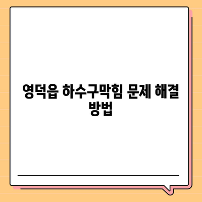 경상북도 영덕군 영덕읍 하수구막힘 | 가격 | 비용 | 기름제거 | 싱크대 | 변기 | 세면대 | 역류 | 냄새차단 | 2024 후기