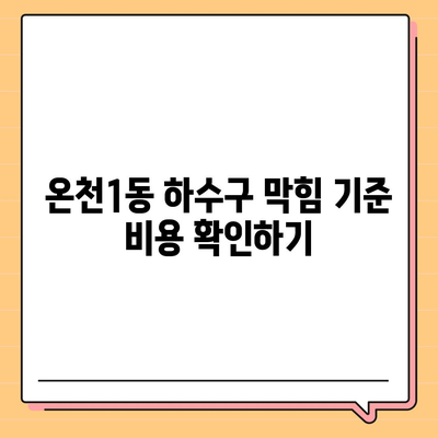 대전시 유성구 온천1동 하수구막힘 | 가격 | 비용 | 기름제거 | 싱크대 | 변기 | 세면대 | 역류 | 냄새차단 | 2024 후기