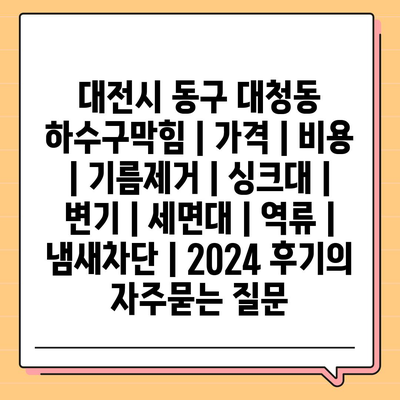 대전시 동구 대청동 하수구막힘 | 가격 | 비용 | 기름제거 | 싱크대 | 변기 | 세면대 | 역류 | 냄새차단 | 2024 후기