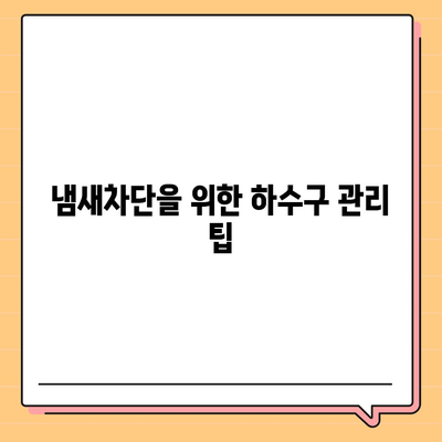 경상북도 경주시 월성동 하수구막힘 | 가격 | 비용 | 기름제거 | 싱크대 | 변기 | 세면대 | 역류 | 냄새차단 | 2024 후기