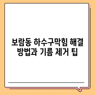 세종시 세종특별자치시 보람동 하수구막힘 | 가격 | 비용 | 기름제거 | 싱크대 | 변기 | 세면대 | 역류 | 냄새차단 | 2024 후기