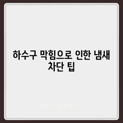 충청남도 당진시 신평면 하수구막힘 | 가격 | 비용 | 기름제거 | 싱크대 | 변기 | 세면대 | 역류 | 냄새차단 | 2024 후기