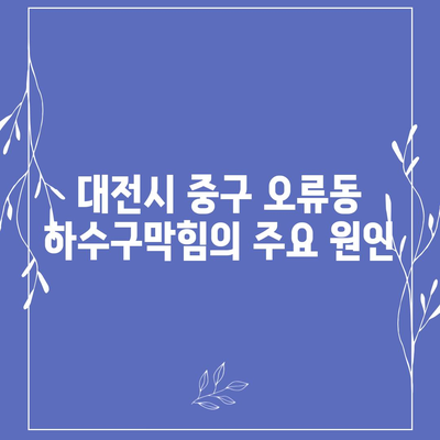 대전시 중구 오류동 하수구막힘 | 가격 | 비용 | 기름제거 | 싱크대 | 변기 | 세면대 | 역류 | 냄새차단 | 2024 후기