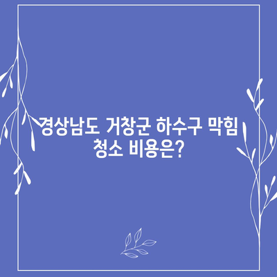 경상남도 거창군 남상면 하수구막힘 | 가격 | 비용 | 기름제거 | 싱크대 | 변기 | 세면대 | 역류 | 냄새차단 | 2024 후기