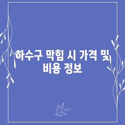 대전시 유성구 진잠동 하수구막힘 | 가격 | 비용 | 기름제거 | 싱크대 | 변기 | 세면대 | 역류 | 냄새차단 | 2024 후기