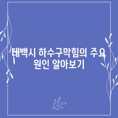 강원도 태백시 문곡소도동 하수구막힘 | 가격 | 비용 | 기름제거 | 싱크대 | 변기 | 세면대 | 역류 | 냄새차단 | 2024 후기