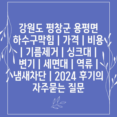 강원도 평창군 용평면 하수구막힘 | 가격 | 비용 | 기름제거 | 싱크대 | 변기 | 세면대 | 역류 | 냄새차단 | 2024 후기