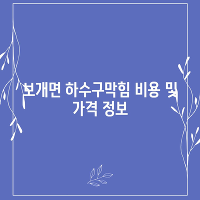 경기도 안성시 보개면 하수구막힘 | 가격 | 비용 | 기름제거 | 싱크대 | 변기 | 세면대 | 역류 | 냄새차단 | 2024 후기