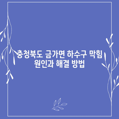 충청북도 충주시 금가면 하수구막힘 | 가격 | 비용 | 기름제거 | 싱크대 | 변기 | 세면대 | 역류 | 냄새차단 | 2024 후기