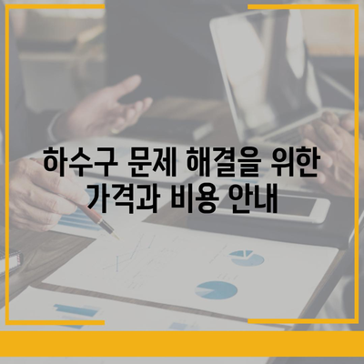 서울시 광진구 능동 하수구막힘 | 가격 | 비용 | 기름제거 | 싱크대 | 변기 | 세면대 | 역류 | 냄새차단 | 2024 후기