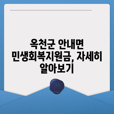 충청북도 옥천군 안내면 민생회복지원금 | 신청 | 신청방법 | 대상 | 지급일 | 사용처 | 전국민 | 이재명 | 2024