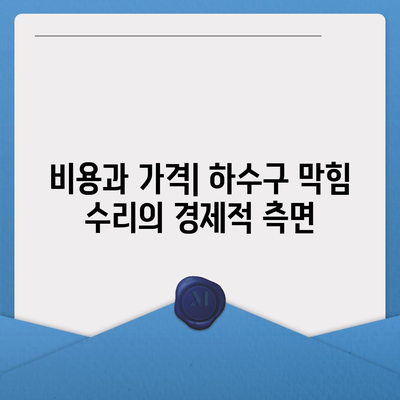 전라북도 완주군 운주면 하수구막힘 | 가격 | 비용 | 기름제거 | 싱크대 | 변기 | 세면대 | 역류 | 냄새차단 | 2024 후기