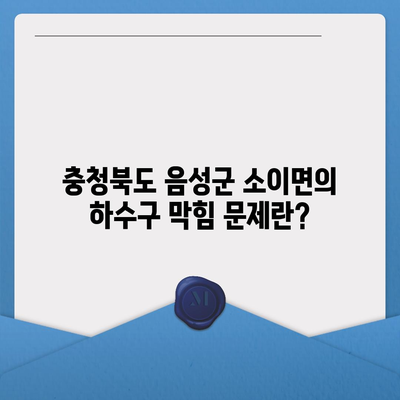 충청북도 음성군 소이면 하수구막힘 | 가격 | 비용 | 기름제거 | 싱크대 | 변기 | 세면대 | 역류 | 냄새차단 | 2024 후기