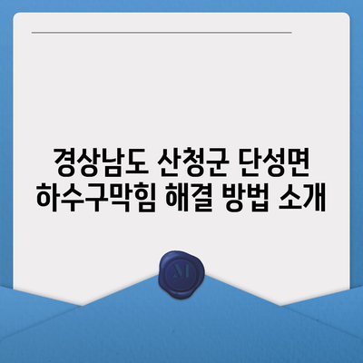 경상남도 산청군 단성면 하수구막힘 | 가격 | 비용 | 기름제거 | 싱크대 | 변기 | 세면대 | 역류 | 냄새차단 | 2024 후기