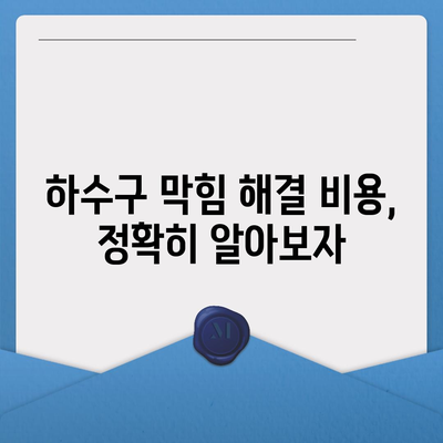 서울시 광진구 능동 하수구막힘 | 가격 | 비용 | 기름제거 | 싱크대 | 변기 | 세면대 | 역류 | 냄새차단 | 2024 후기