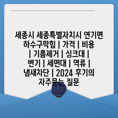 세종시 세종특별자치시 연기면 하수구막힘 | 가격 | 비용 | 기름제거 | 싱크대 | 변기 | 세면대 | 역류 | 냄새차단 | 2024 후기