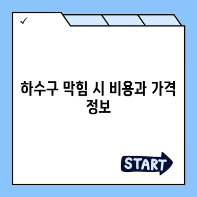 세종시 세종특별자치시 대평동 하수구막힘 | 가격 | 비용 | 기름제거 | 싱크대 | 변기 | 세면대 | 역류 | 냄새차단 | 2024 후기