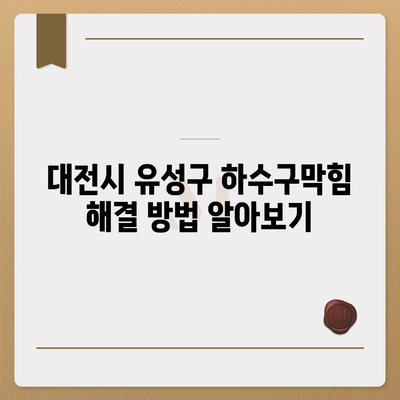 대전시 유성구 온천1동 하수구막힘 | 가격 | 비용 | 기름제거 | 싱크대 | 변기 | 세면대 | 역류 | 냄새차단 | 2024 후기