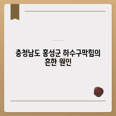 충청남도 홍성군 구항면 하수구막힘 | 가격 | 비용 | 기름제거 | 싱크대 | 변기 | 세면대 | 역류 | 냄새차단 | 2024 후기