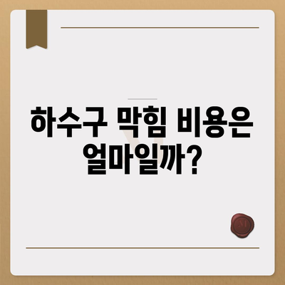 대전시 중구 유천2동 하수구막힘 | 가격 | 비용 | 기름제거 | 싱크대 | 변기 | 세면대 | 역류 | 냄새차단 | 2024 후기