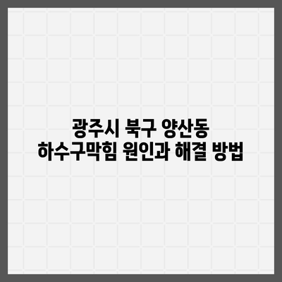 광주시 북구 양산동 하수구막힘 | 가격 | 비용 | 기름제거 | 싱크대 | 변기 | 세면대 | 역류 | 냄새차단 | 2024 후기