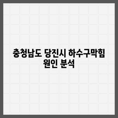 충청남도 당진시 고대면 하수구막힘 | 가격 | 비용 | 기름제거 | 싱크대 | 변기 | 세면대 | 역류 | 냄새차단 | 2024 후기