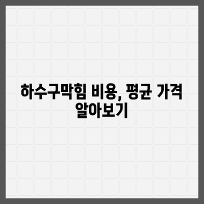 서울시 중구 회현동 하수구막힘 | 가격 | 비용 | 기름제거 | 싱크대 | 변기 | 세면대 | 역류 | 냄새차단 | 2024 후기