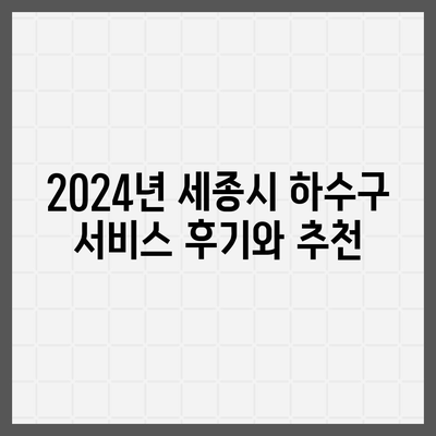 세종시 세종특별자치시 연기면 하수구막힘 | 가격 | 비용 | 기름제거 | 싱크대 | 변기 | 세면대 | 역류 | 냄새차단 | 2024 후기