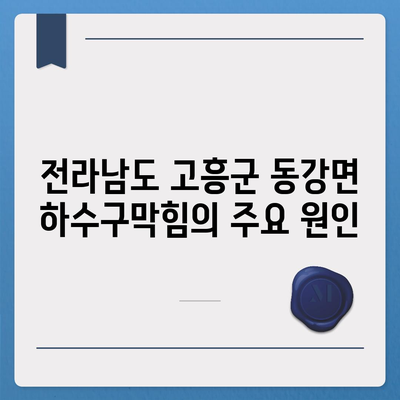 전라남도 고흥군 동강면 하수구막힘 | 가격 | 비용 | 기름제거 | 싱크대 | 변기 | 세면대 | 역류 | 냄새차단 | 2024 후기