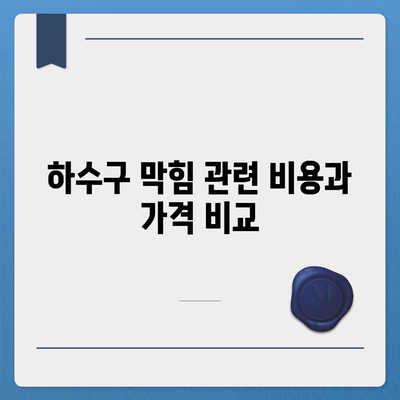 충청북도 충주시 지현동 하수구막힘 | 가격 | 비용 | 기름제거 | 싱크대 | 변기 | 세면대 | 역류 | 냄새차단 | 2024 후기