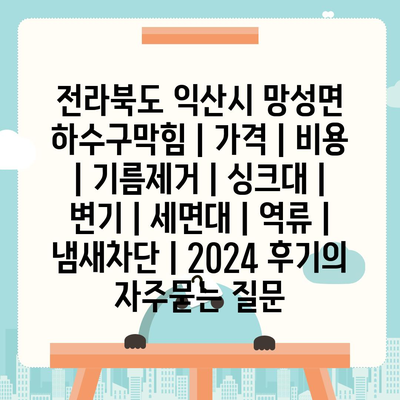 전라북도 익산시 망성면 하수구막힘 | 가격 | 비용 | 기름제거 | 싱크대 | 변기 | 세면대 | 역류 | 냄새차단 | 2024 후기