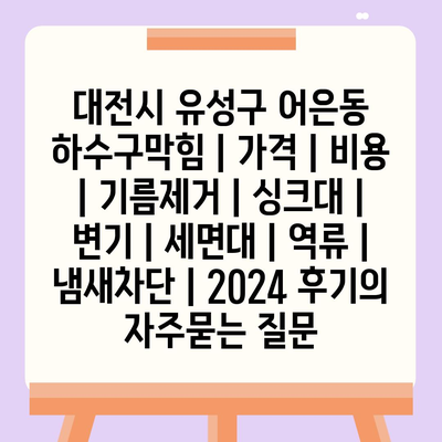 대전시 유성구 어은동 하수구막힘 | 가격 | 비용 | 기름제거 | 싱크대 | 변기 | 세면대 | 역류 | 냄새차단 | 2024 후기