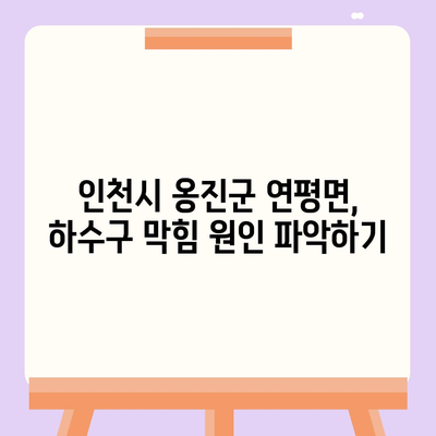 인천시 옹진군 연평면 하수구막힘 | 가격 | 비용 | 기름제거 | 싱크대 | 변기 | 세면대 | 역류 | 냄새차단 | 2024 후기