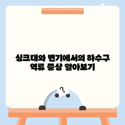 서울시 중구 다산동 하수구막힘 | 가격 | 비용 | 기름제거 | 싱크대 | 변기 | 세면대 | 역류 | 냄새차단 | 2024 후기