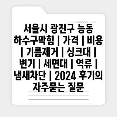 서울시 광진구 능동 하수구막힘 | 가격 | 비용 | 기름제거 | 싱크대 | 변기 | 세면대 | 역류 | 냄새차단 | 2024 후기