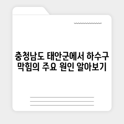 충청남도 태안군 원북면 하수구막힘 | 가격 | 비용 | 기름제거 | 싱크대 | 변기 | 세면대 | 역류 | 냄새차단 | 2024 후기