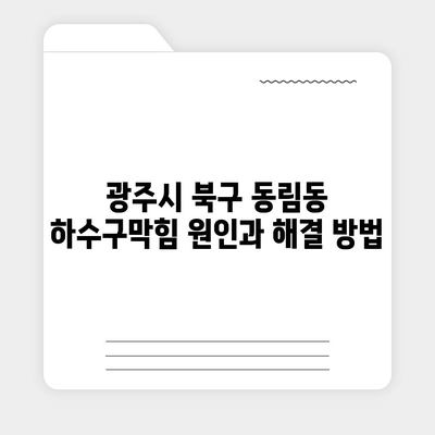 광주시 북구 동림동 하수구막힘 | 가격 | 비용 | 기름제거 | 싱크대 | 변기 | 세면대 | 역류 | 냄새차단 | 2024 후기