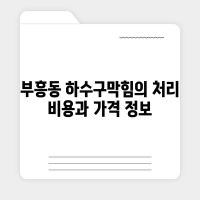 전라남도 목포시 부흥동 하수구막힘 | 가격 | 비용 | 기름제거 | 싱크대 | 변기 | 세면대 | 역류 | 냄새차단 | 2024 후기