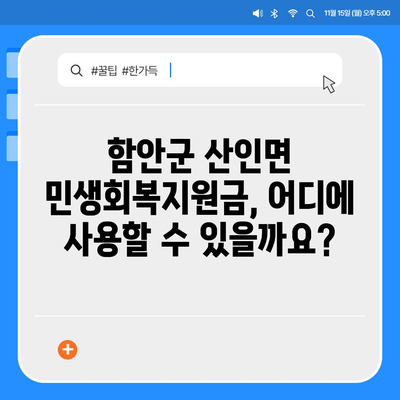 경상남도 함안군 산인면 민생회복지원금 | 신청 | 신청방법 | 대상 | 지급일 | 사용처 | 전국민 | 이재명 | 2024