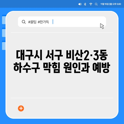 대구시 서구 비산2·3동 하수구막힘 | 가격 | 비용 | 기름제거 | 싱크대 | 변기 | 세면대 | 역류 | 냄새차단 | 2024 후기