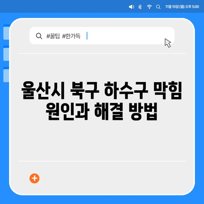 울산시 북구 농소2동 하수구막힘 | 가격 | 비용 | 기름제거 | 싱크대 | 변기 | 세면대 | 역류 | 냄새차단 | 2024 후기