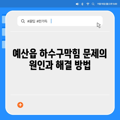 충청남도 예산군 예산읍 하수구막힘 | 가격 | 비용 | 기름제거 | 싱크대 | 변기 | 세면대 | 역류 | 냄새차단 | 2024 후기