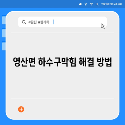 경상남도 창녕군 영산면 하수구막힘 | 가격 | 비용 | 기름제거 | 싱크대 | 변기 | 세면대 | 역류 | 냄새차단 | 2024 후기