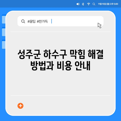 경상북도 성주군 벽진면 하수구막힘 | 가격 | 비용 | 기름제거 | 싱크대 | 변기 | 세면대 | 역류 | 냄새차단 | 2024 후기