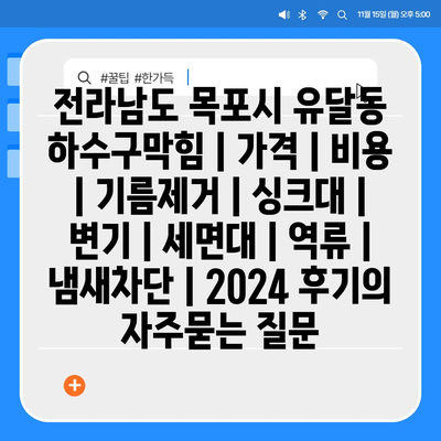 전라남도 목포시 유달동 하수구막힘 | 가격 | 비용 | 기름제거 | 싱크대 | 변기 | 세면대 | 역류 | 냄새차단 | 2024 후기