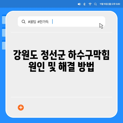 강원도 정선군 사북읍 하수구막힘 | 가격 | 비용 | 기름제거 | 싱크대 | 변기 | 세면대 | 역류 | 냄새차단 | 2024 후기