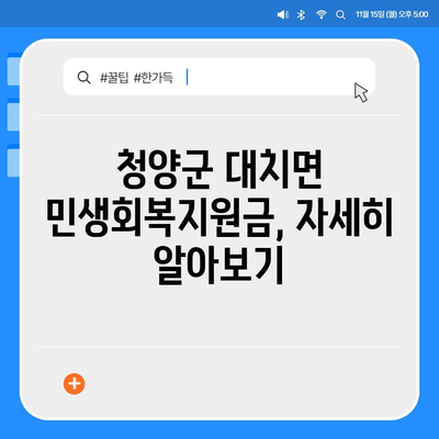 충청남도 청양군 대치면 민생회복지원금 | 신청 | 신청방법 | 대상 | 지급일 | 사용처 | 전국민 | 이재명 | 2024