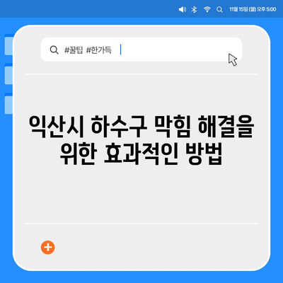 전라북도 익산시 망성면 하수구막힘 | 가격 | 비용 | 기름제거 | 싱크대 | 변기 | 세면대 | 역류 | 냄새차단 | 2024 후기